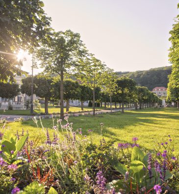 Schlosspark Staatsbad Bad Brückenau